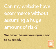Can my website have ecommerce without assuming a huge amount of risk? We have the answers you need to succeed.
