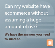 Can my website have ecommerce without assuming a huge amount of risk? We have the answers you need to succeed.